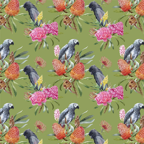 Cojín decorativo Grey Parrot