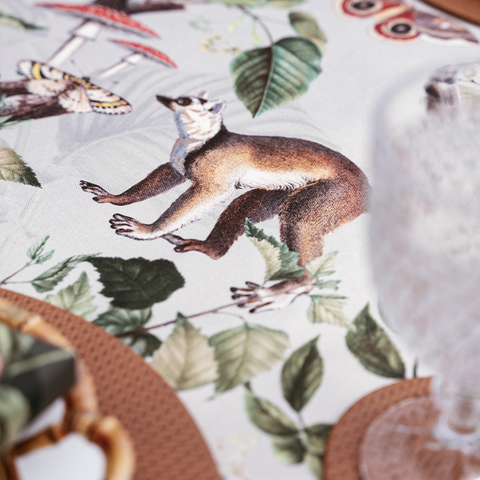Mantel Lemur