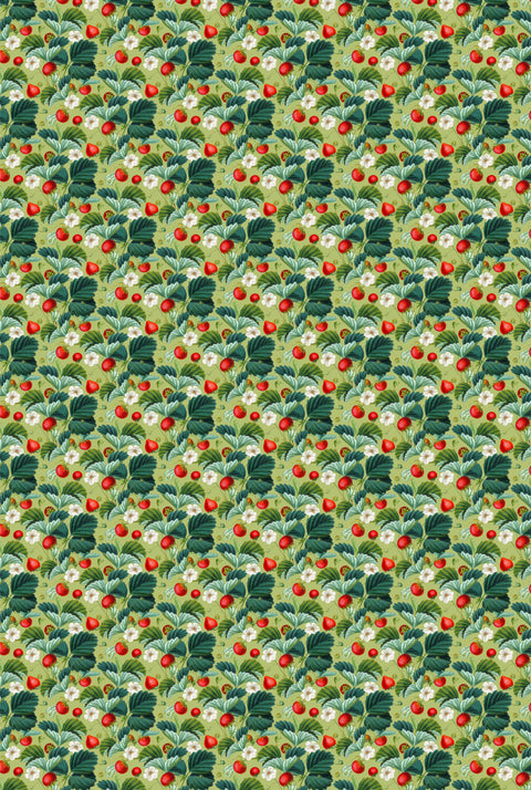 Mantel Fragaria