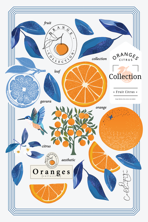 Paño de cocina Blue Orange (set x 3)