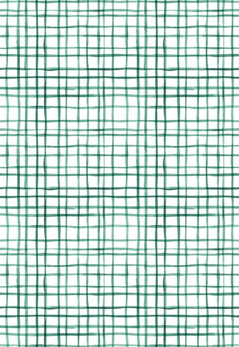 Paño de cocina Colibrí (set x 2)