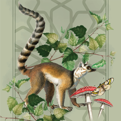 Servilleta Lemur