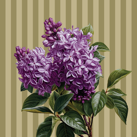 Servilleta Lillac Alelí