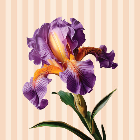 Servilleta Lillac Iris