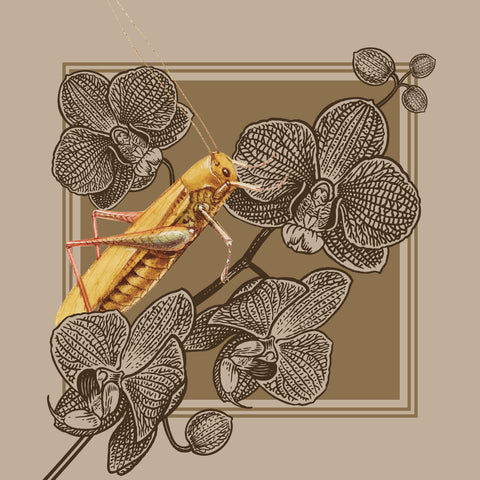 Servilleta Autumn Orchid Grillo